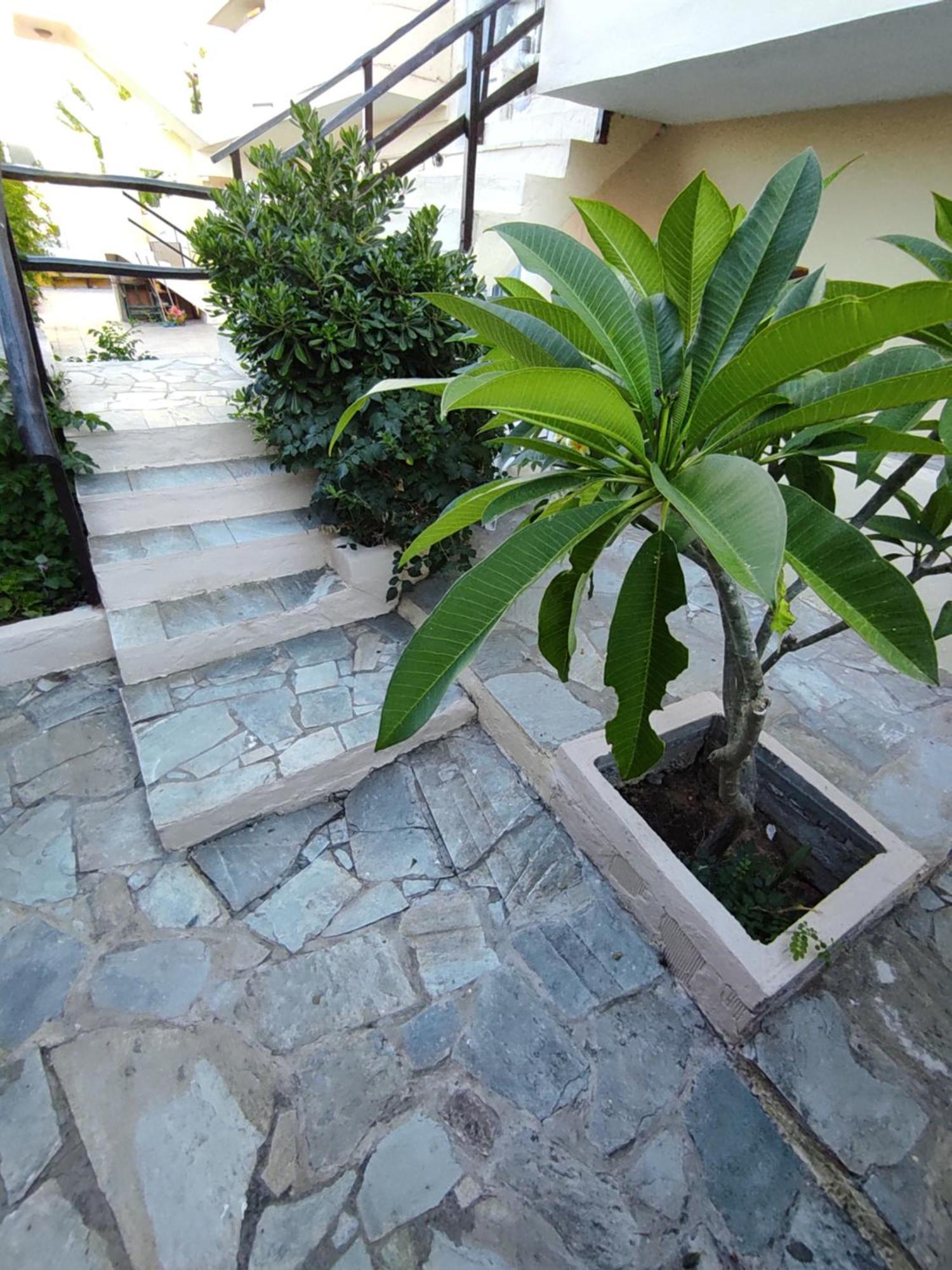 Dedalos N3 Sea View Apartment-30 Metres From The Beach Stalís Ngoại thất bức ảnh
