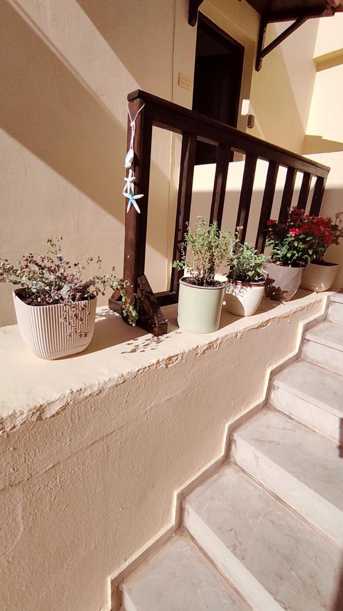 Dedalos N3 Sea View Apartment-30 Metres From The Beach Stalís Ngoại thất bức ảnh